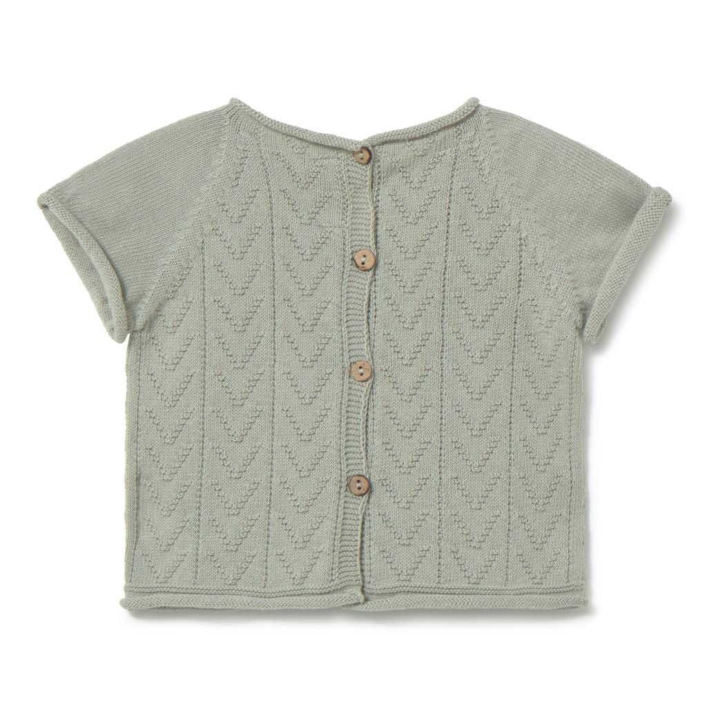 Conjunto Alek - 4 Cores