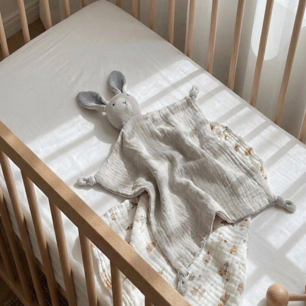 Pano de Abraço Coelhinho Algodão Orgânico. 6 cores