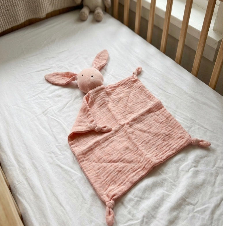 Pano de Abraço Coelhinho Algodão Orgânico. 6 cores