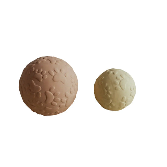 Conjunto de Bolas Sensoriais Patinhas